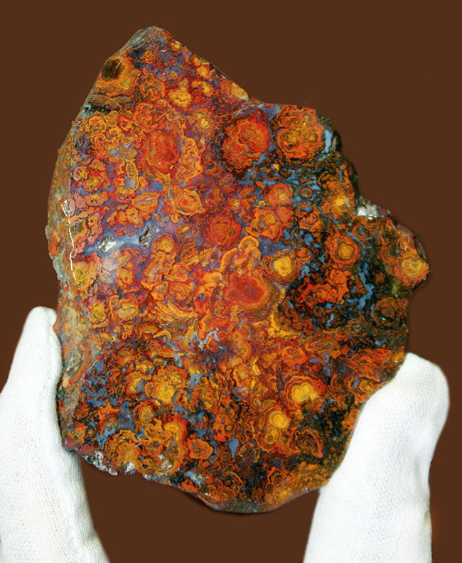 鮮やかな色合いで楽しませてくれる、ストロマトライトを含むハンガリー産の朱いメノウ(Agate)(その1)