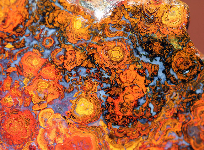 鮮やかな色合いで楽しませてくれる、ストロマトライトを含むハンガリー産の朱いメノウ(Agate)(その10)