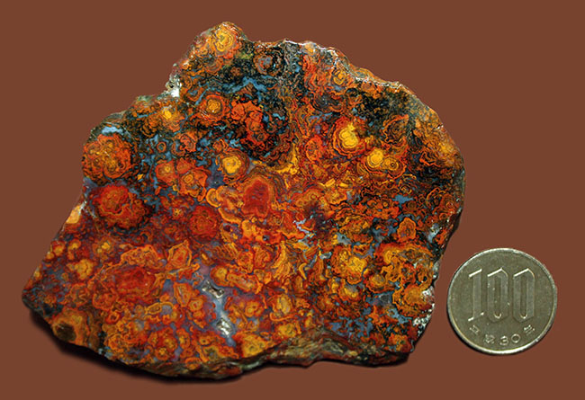 鮮やかな色合いで楽しませてくれる、ストロマトライトを含むハンガリー産の朱いメノウ(Agate)(その11)