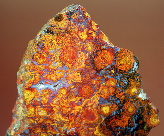 鮮やかな色合いで楽しませてくれる、ストロマトライトを含むハンガリー産の朱いメノウ(Agate)(その2)