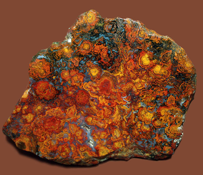 鮮やかな色合いで楽しませてくれる、ストロマトライトを含むハンガリー産の朱いメノウ(Agate)(その5)