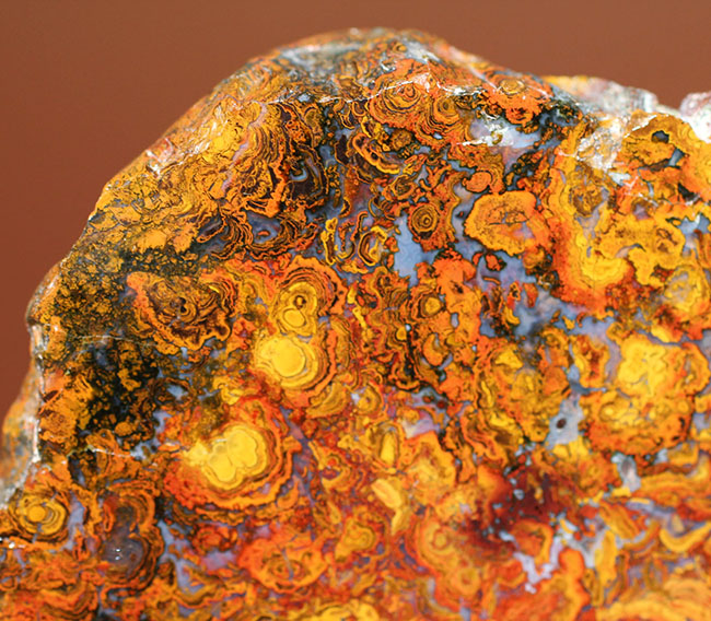 鮮やかな色合いで楽しませてくれる、ストロマトライトを含むハンガリー産の朱いメノウ(Agate)(その6)