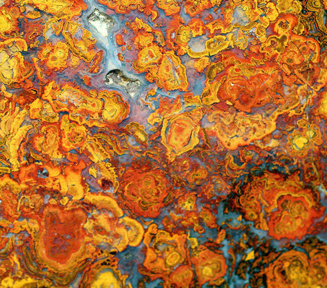 鮮やかな色合いで楽しませてくれる、ストロマトライトを含むハンガリー産の朱いメノウ(Agate)(その7)