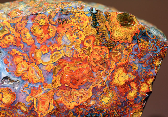 鮮やかな色合いで楽しませてくれる、ストロマトライトを含むハンガリー産の朱いメノウ(Agate)(その8)