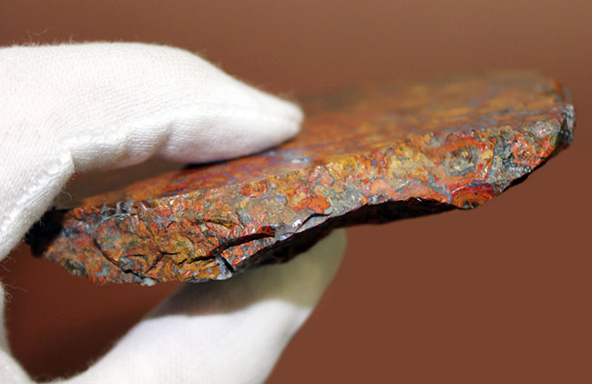鮮やかな色合いで楽しませてくれる、ストロマトライトを含むハンガリー産の朱いメノウ(Agate)(その9)