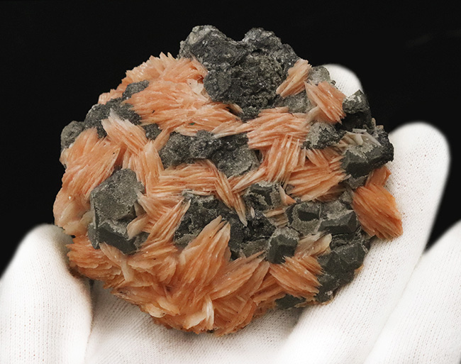 ベストクオリティ！自然が作り出した芸術品！モロッコ・ミブラデン（Mibladen）産バライト（重晶石）の原石（その5）