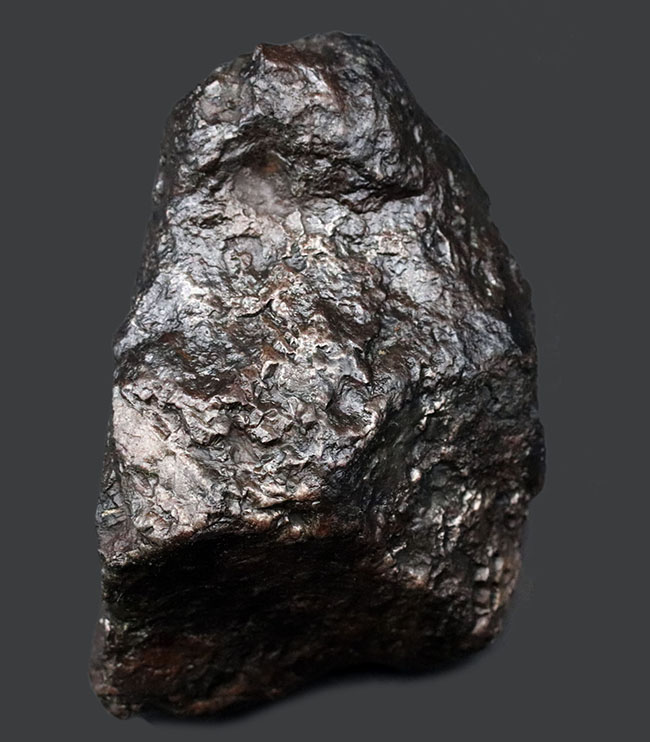 美しい金属光沢を放つ隕鉄、悠久の時を経て、あなたのもとに！８８０グラムのヘビー級鉄隕石、カンポ・デル・シエロ（Campo del Cielo）（その1）