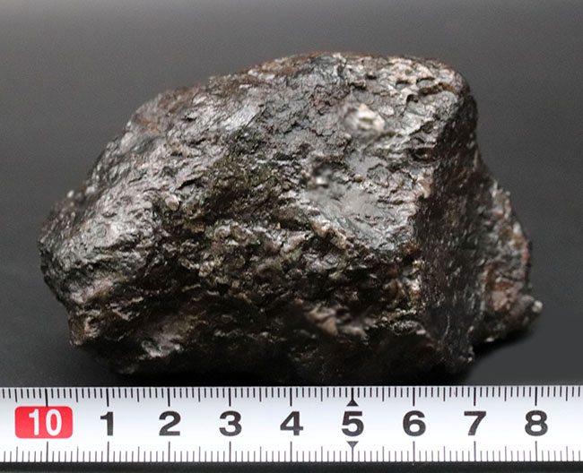 美しい金属光沢を放つ隕鉄、悠久の時を経て、あなたのもとに！８８０グラムのヘビー級鉄隕石、カンポ・デル・シエロ（Campo del Cielo）（その11）