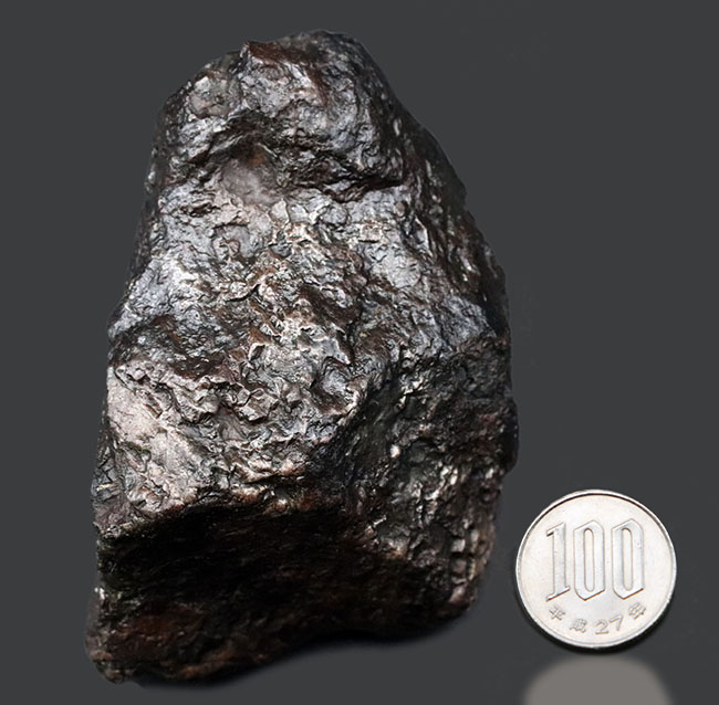 美しい金属光沢を放つ隕鉄、悠久の時を経て、あなたのもとに！８８０グラムのヘビー級鉄隕石、カンポ・デル・シエロ（Campo del Cielo）（その12）
