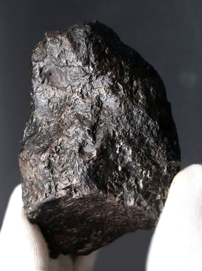 美しい金属光沢を放つ隕鉄、悠久の時を経て、あなたのもとに！８８０グラムのヘビー級鉄隕石、カンポ・デル・シエロ（Campo del Cielo）（その2）