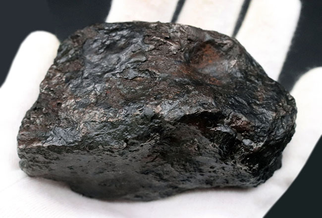 美しい金属光沢を放つ隕鉄、悠久の時を経て、あなたのもとに！８８０グラムのヘビー級鉄隕石、カンポ・デル・シエロ（Campo del Cielo）（その3）