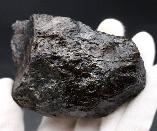 美しい金属光沢を放つ隕鉄、悠久の時を経て、あなたのもとに！８８０グラムのヘビー級鉄隕石、カンポ・デル・シエロ（Campo del Cielo）（その4）