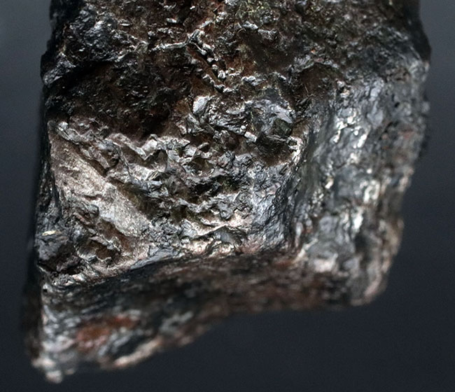 美しい金属光沢を放つ隕鉄、悠久の時を経て、あなたのもとに！８８０グラムのヘビー級鉄隕石、カンポ・デル・シエロ（Campo del Cielo）（その7）