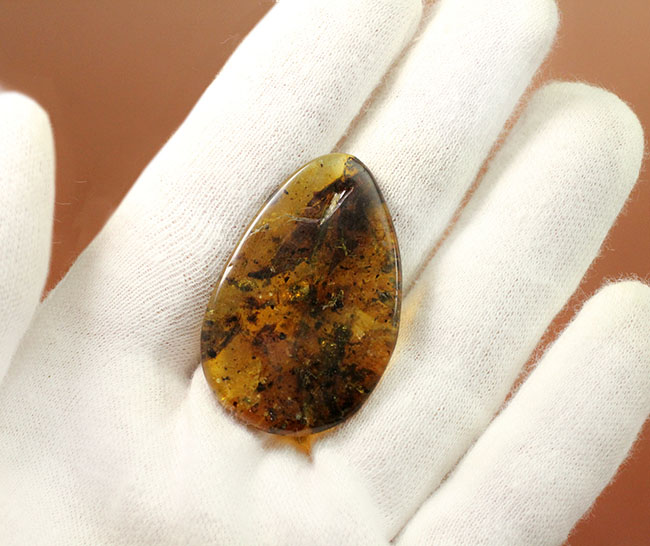 恐竜時代の針葉樹の樹脂に起源を持つ非常に古い琥珀。植物片を多数内包。(その6)