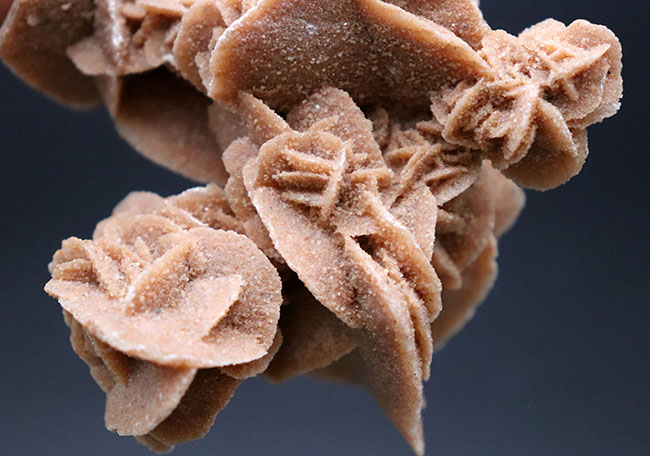 砂漠に咲いた、ジプサムの花。貴方のデスクに植えてみませんか？デザートローズ（Desert rose）こと、砂漠のバラ（その4）
