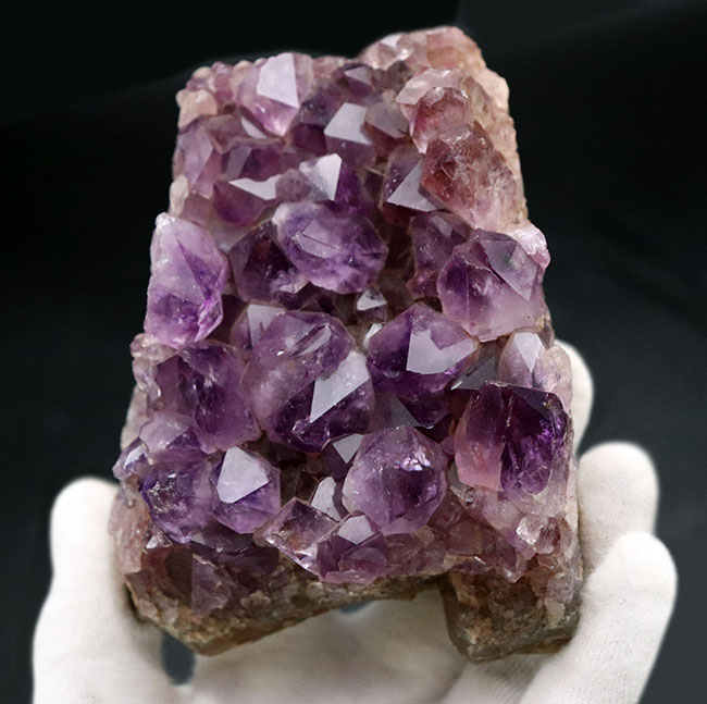 高貴な色、紫を呈する、宝石としても名高いアメシストの天然標本（Amethyst）（その1）