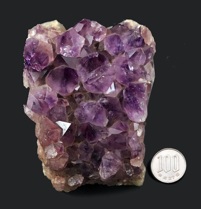 高貴な色、紫を呈する、宝石としても名高いアメシストの天然標本（Amethyst）（その10）
