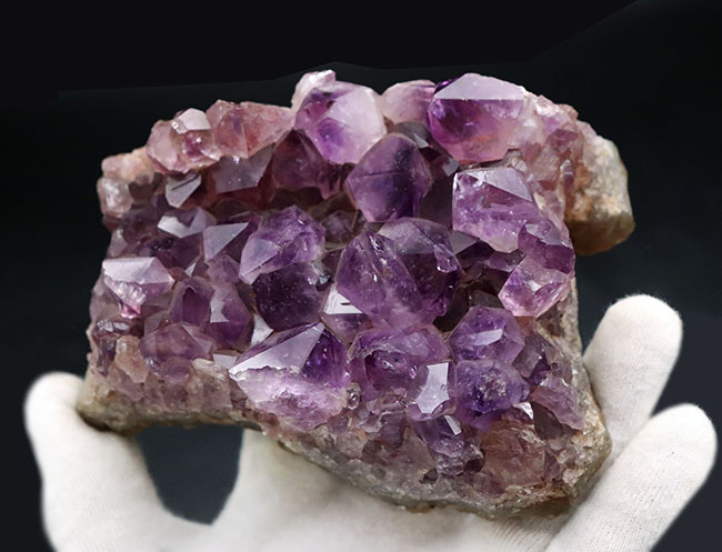 高貴な色、紫を呈する、宝石としても名高いアメシストの天然標本（Amethyst）（その4）
