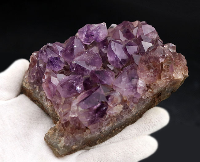 高貴な色、紫を呈する、宝石としても名高いアメシストの天然標本（Amethyst）（その5）