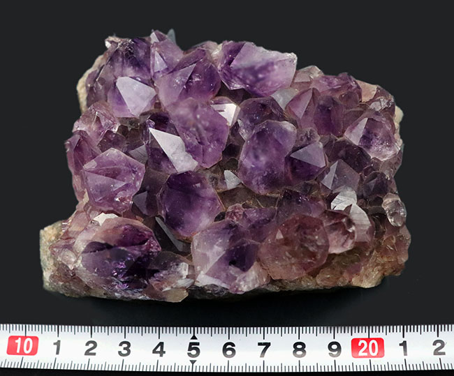 高貴な色、紫を呈する、宝石としても名高いアメシストの天然標本（Amethyst）（その9）
