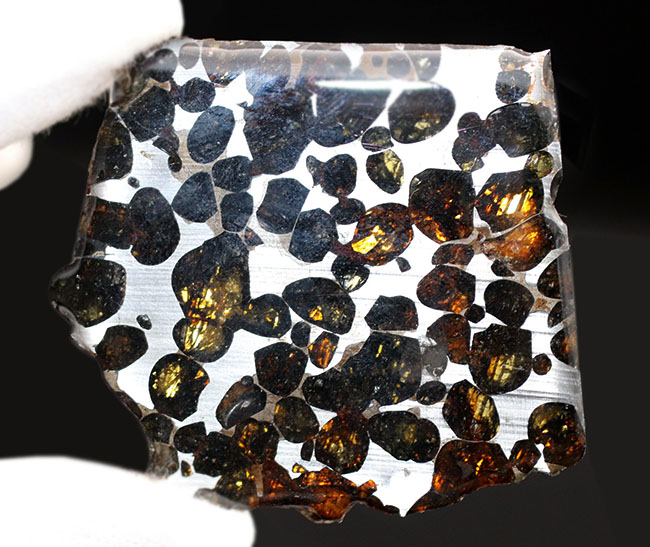 人気！最も美しい隕石と評されるパラサイト隕石（本体防錆処理済み）。黄金色に輝くかんらん石にご注目（その1）