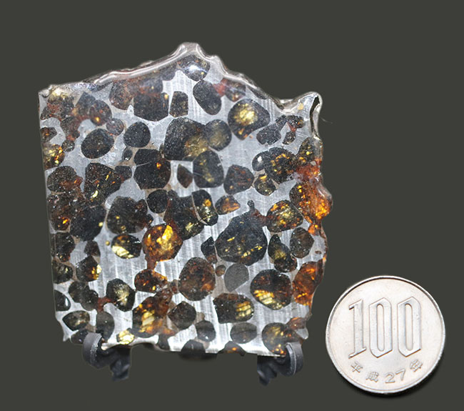 人気！最も美しい隕石と評されるパラサイト隕石（本体防錆処理済み）。黄金色に輝くかんらん石にご注目（その10）