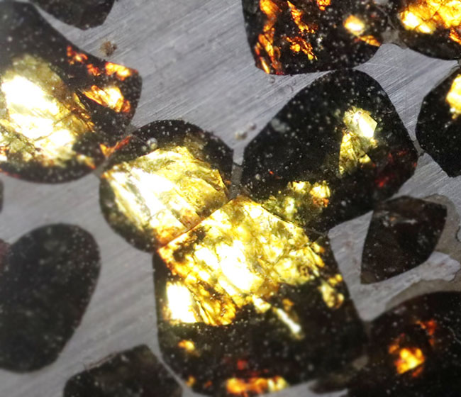 人気！最も美しい隕石と評されるパラサイト隕石（本体防錆処理済み）。黄金色に輝くかんらん石にご注目（その6）