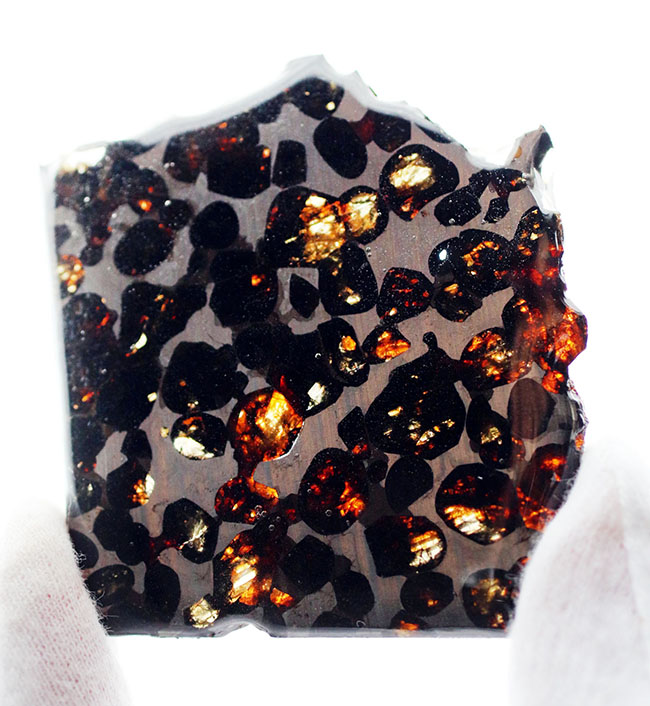人気！最も美しい隕石と評されるパラサイト隕石（本体防錆処理済み）。黄金色に輝くかんらん石にご注目（その8）