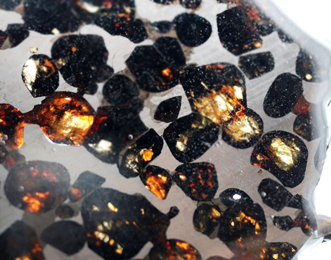 人気！最も美しい隕石と評されるパラサイト隕石（本体防錆処理済み）。黄金色に輝くかんらん石にご注目（その9）