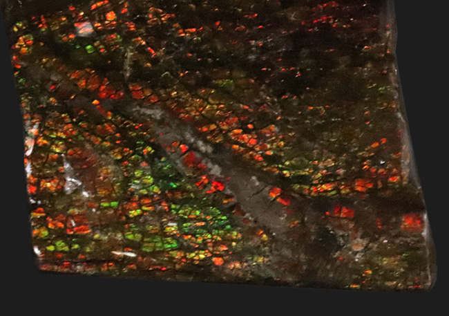 ステンドグラスより細かい、もはやビーズ！カナダ・ロッキー山脈東側斜面でのみ発見された美しき宝石、アンモライトのピース（Ammolite）（その5）