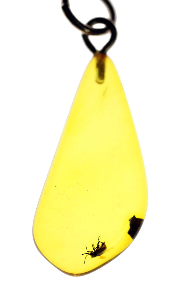 透き通るレモンイエローが美しいバルト海産の虫入り琥珀を使ったペンダントトップ。（シルバーチェーン、革紐、高級ジュエリーケース付き）（その1）