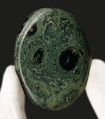 お客様の声　写真