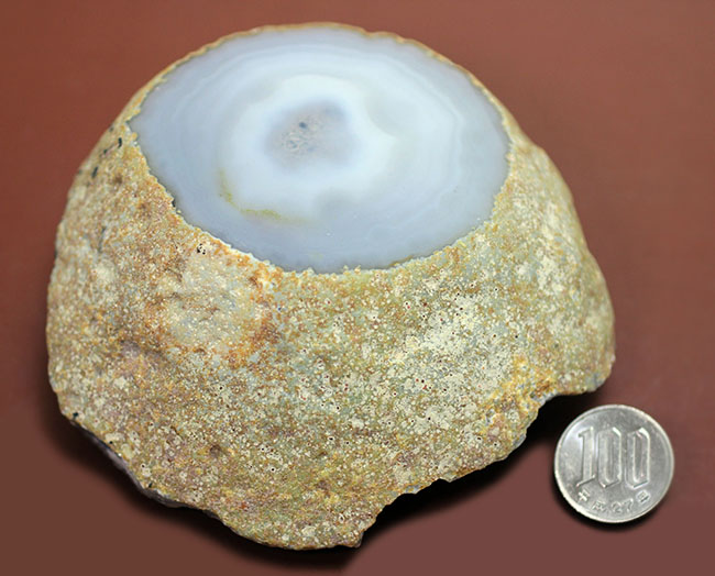 ぶ厚い!4.3センチの厚みを有する、淡青色の鉱物メノウ、ナチュラル標本です。(Agate)(その13)