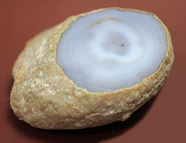 ぶ厚い!4.3センチの厚みを有する、淡青色の鉱物メノウ、ナチュラル標本です。(Agate)(その3)
