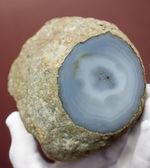 ぶ厚い！４.３センチの厚みを有する、淡青色の鉱物メノウ、ナチュラル標本です。（Agate）