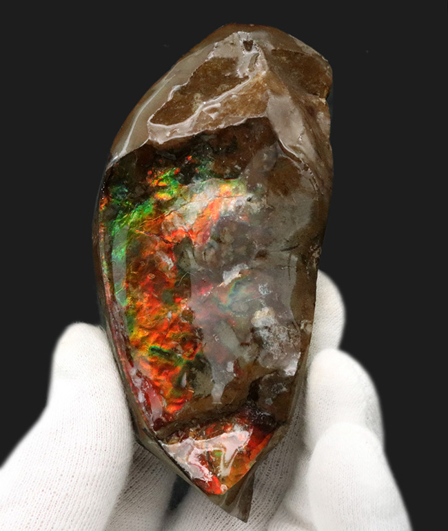 カナダ・アルバータ州の自然の美しさの象徴、鮮やかな赤と緑が映える、アンモライト（Ammolite）のピース（その1）