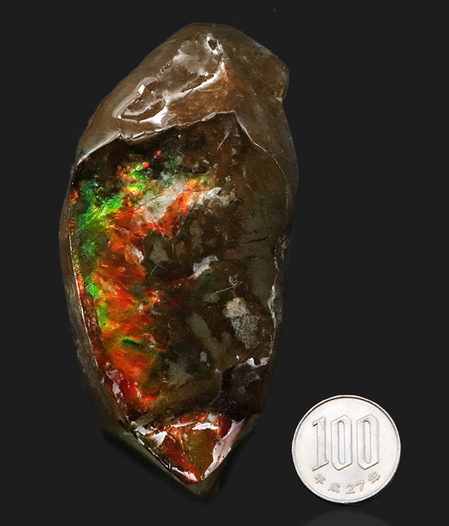 カナダ・アルバータ州の自然の美しさの象徴、鮮やかな赤と緑が映える、アンモライト（Ammolite）のピース（その8）