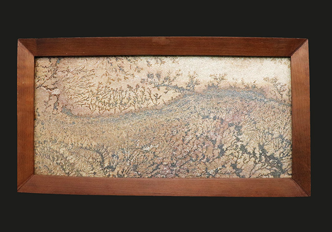 大作家、地球が描いたアート作品!絵画のような味わいを持つブラジル産のデンドライト。木製の額装入り、スタンド付き。(その1)