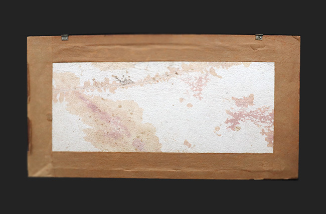 大作家、地球が描いたアート作品!絵画のような味わいを持つブラジル産のデンドライト。木製の額装入り、スタンド付き。(その10)