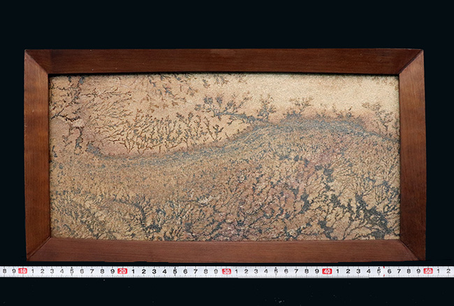 大作家、地球が描いたアート作品!絵画のような味わいを持つブラジル産のデンドライト。木製の額装入り、スタンド付き。(その11)