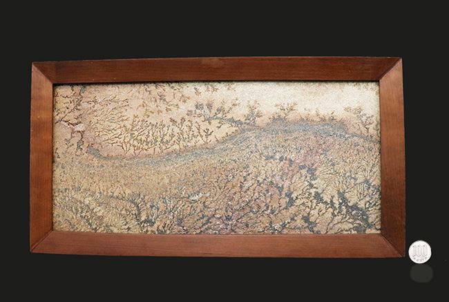 大作家、地球が描いたアート作品!絵画のような味わいを持つブラジル産のデンドライト。木製の額装入り、スタンド付き。(その12)