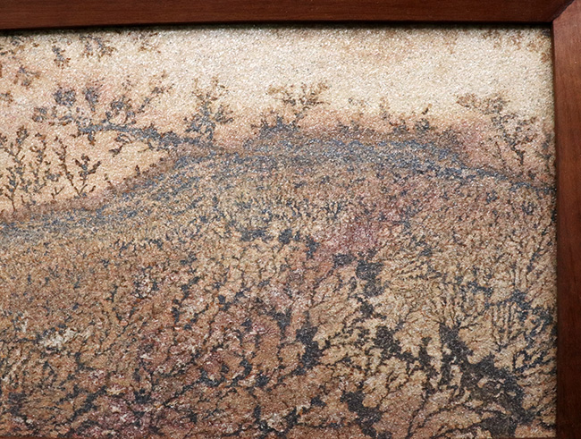 大作家、地球が描いたアート作品!絵画のような味わいを持つブラジル産のデンドライト。木製の額装入り、スタンド付き。(その4)