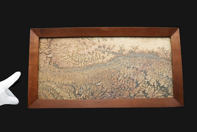 大作家、地球が描いたアート作品!絵画のような味わいを持つブラジル産のデンドライト。木製の額装入り、スタンド付き。(その6)