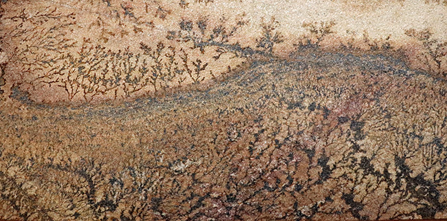 大作家、地球が描いたアート作品!絵画のような味わいを持つブラジル産のデンドライト。木製の額装入り、スタンド付き。(その7)