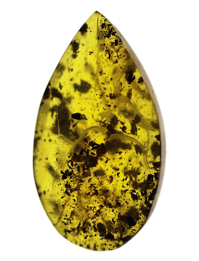 美しいドロップ状のカボション！４０００万年前の植物片を多数内包したバルト海産琥珀（Amber）（その1）