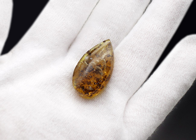 美しいドロップ状のカボション！４０００万年前の植物片を多数内包したバルト海産琥珀（Amber）（その5）