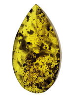 美しいドロップ状のカボション！４０００万年前の植物片を多数内包したバルト海産琥珀（Amber）