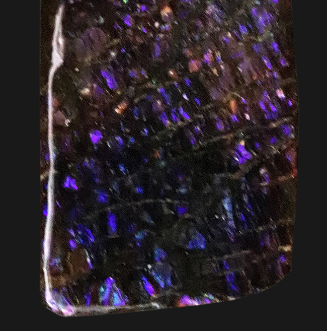 レア！最も希少な色、パープルを呈する、アンモライト（Ammolite）のピース（その3）