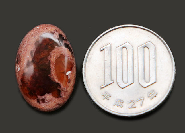 透明感あふれる卵のような味わいを持つ美しきメキシコ産のオパール(opal)(その7)