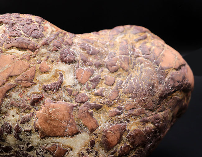 ８キログラムを超えるヘビー級化石、重厚感あふれる立派なヒプセロサウルス（Hypselosaurus）の卵の化石（その7）